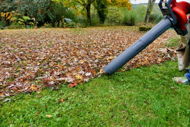 Top Rated Leaf Vacuuming Products