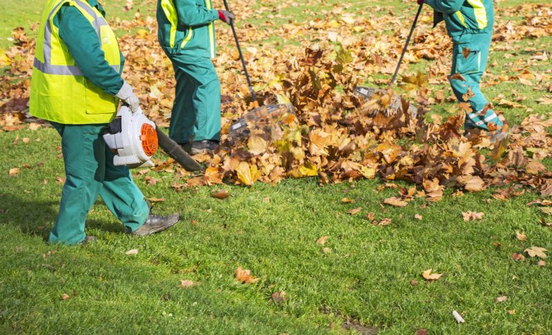 Leaf Vacuuming Service