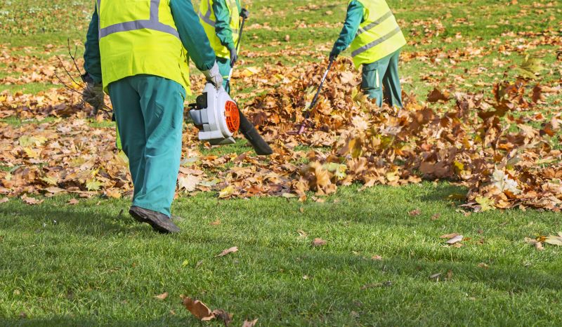Cost of Leaf Vacuuming Service — Cost of Leaf Vacuuming Service