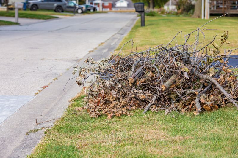 Cost of Leaf Vacuuming Service — Cost of Leaf Vacuuming Service
