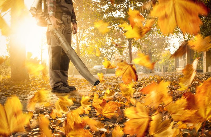 Cost of Leaf Vacuuming Service — Cost of Leaf Vacuuming Service