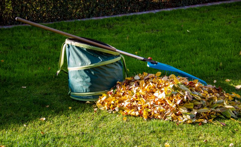 Cost of Leaf Vacuuming Service — Cost of Leaf Vacuuming Service