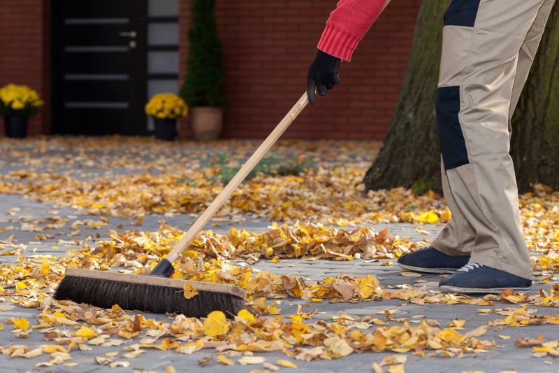 Leaf Vacuuming Service