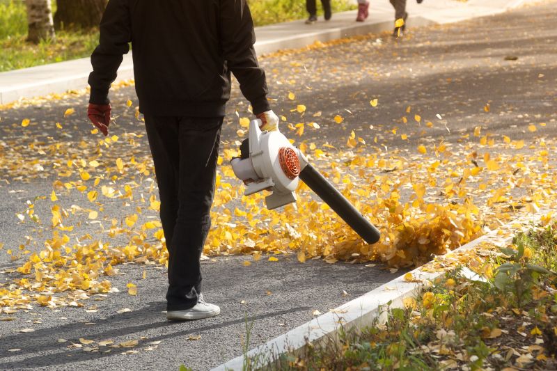 Leaf Vacuuming Service
