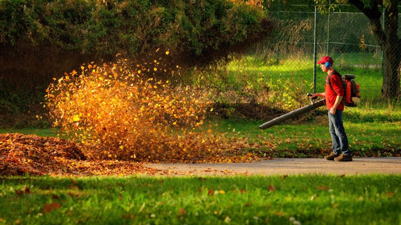 Products For Leaf Vacuuming Service in use