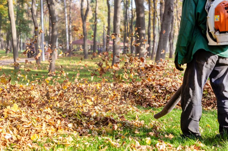 Efficiently remove leaves and debris.