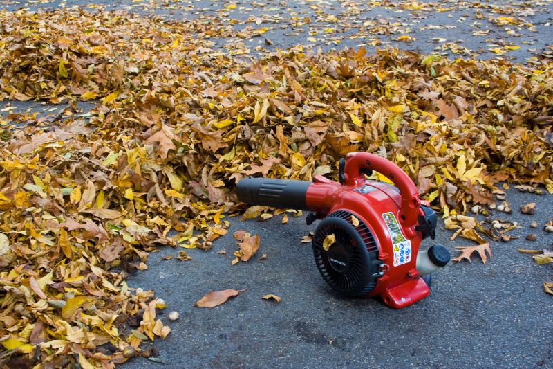 Prevent leaf buildup and mold growth